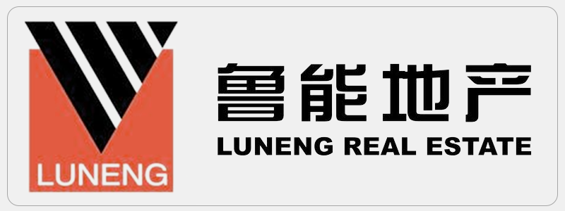 海真老师为鲁能地产做易经风水讲座